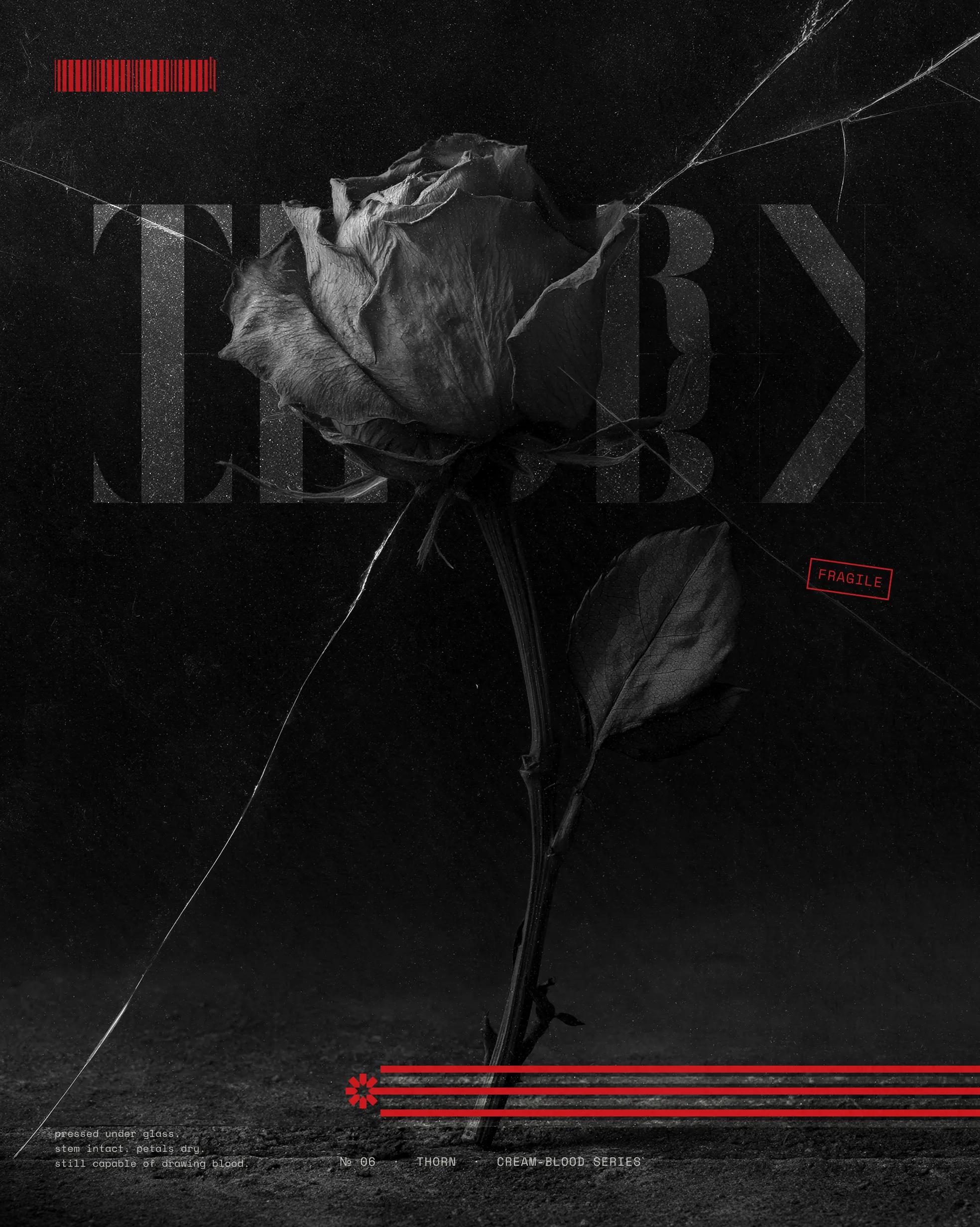 THORN poster: a single dark rose behind cracked glass, ghosted title and a small red FRAGILE stamp