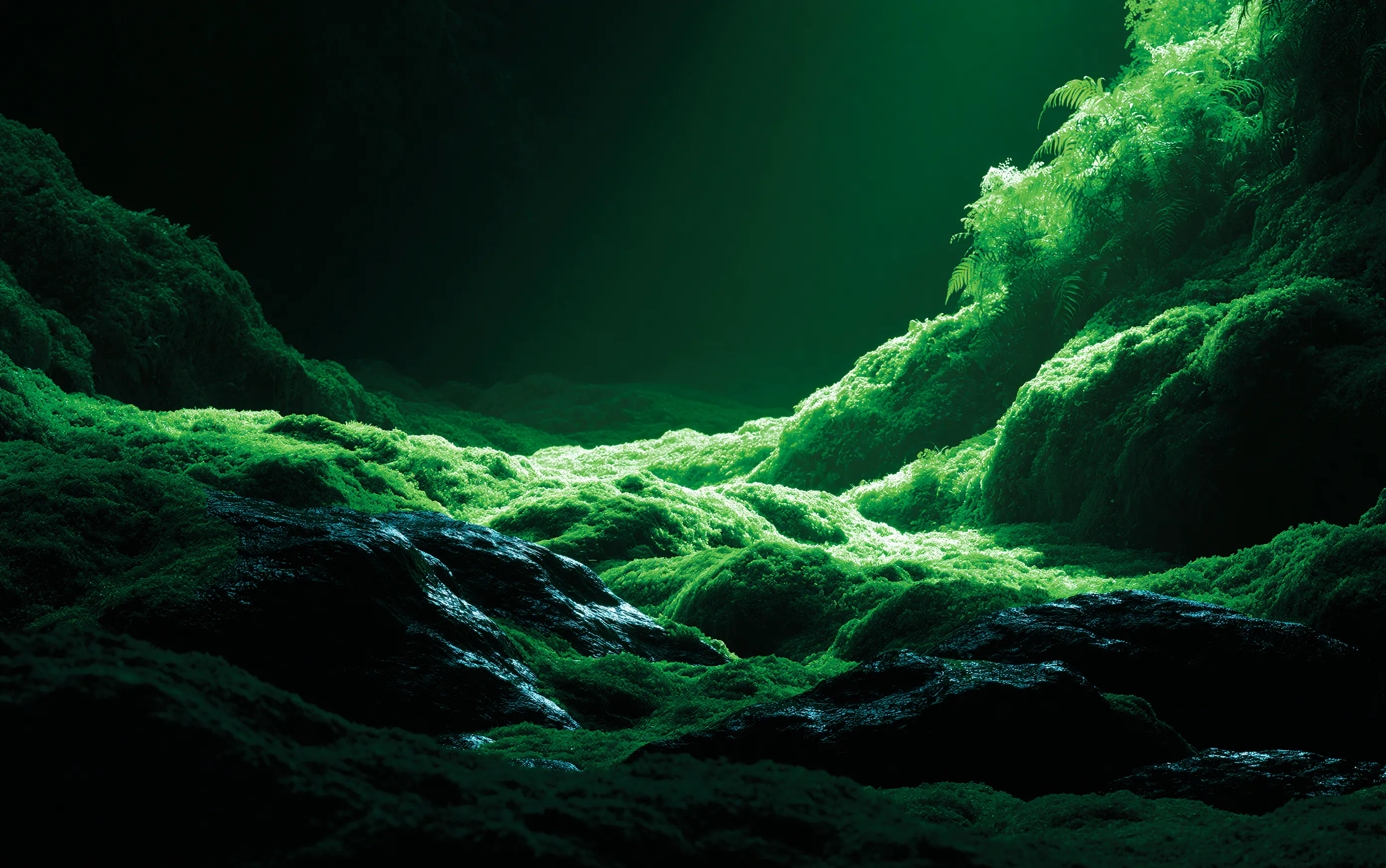 Mossy forest ravine in deep green shadow with a shaft of light